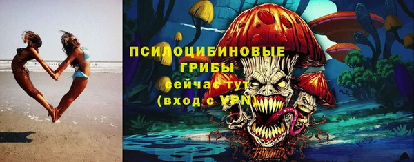 прущий лед Алексин