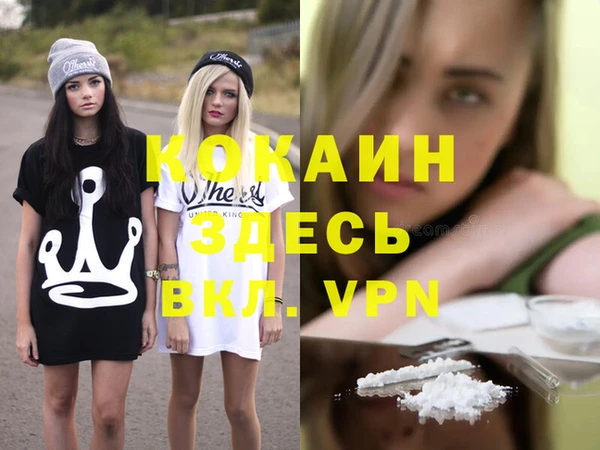 гашик Алексеевка