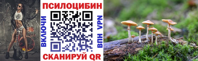 Галлюциногенные грибы мухоморы  сайты даркнета клад  Сибай  купить наркотики цена 